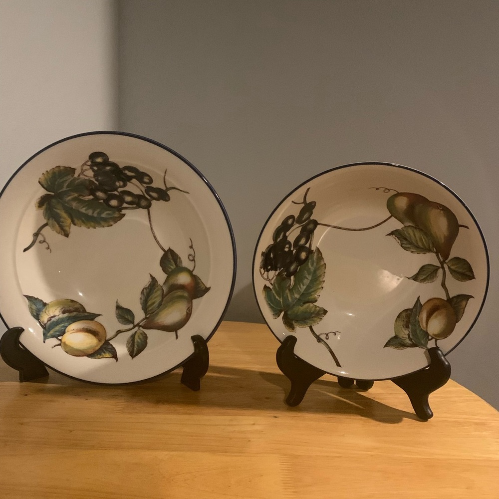 Two Pier 1 Macintosh Earthenware Serving Bowls